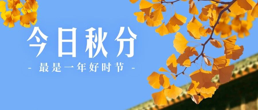 Dragon Boat Festiv
